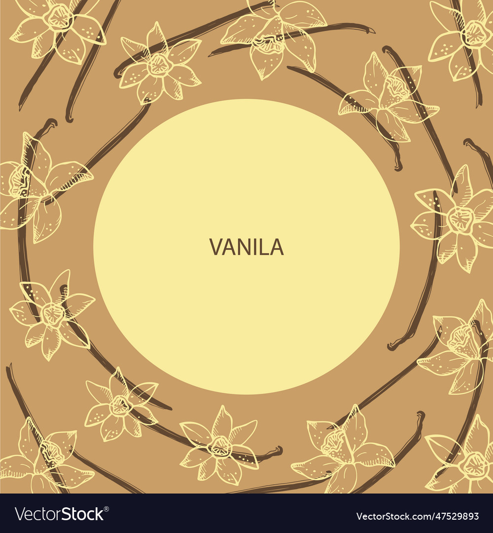 Vanilla label template background for text vector image Vanilla label template background for text