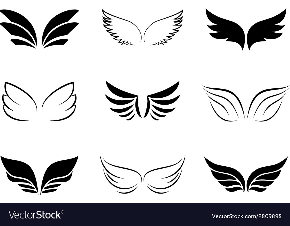 Different wing designs royalty free vector image