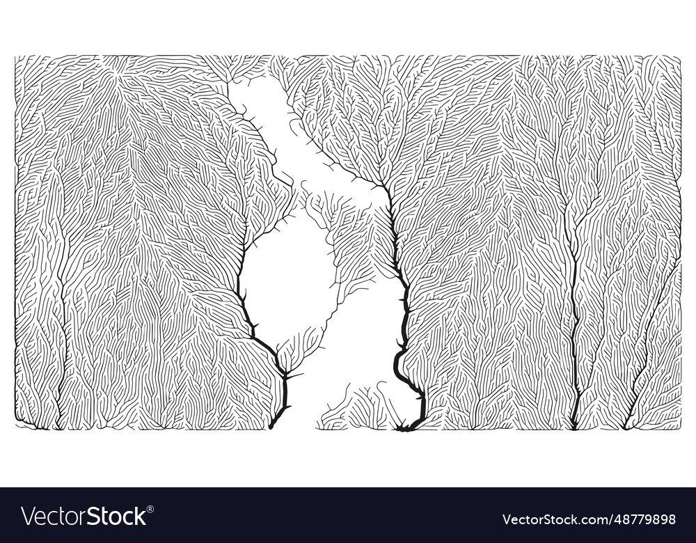Growth pattern generative branching structure