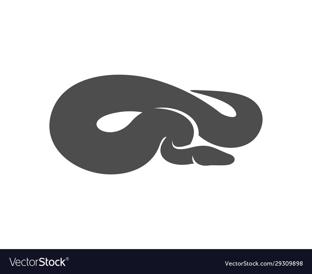 Python snake logo animal graphic snake design Vector Image