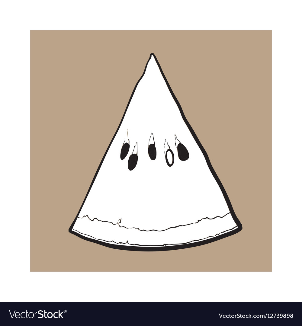 Triangular slice of ripe watermelon sketch style