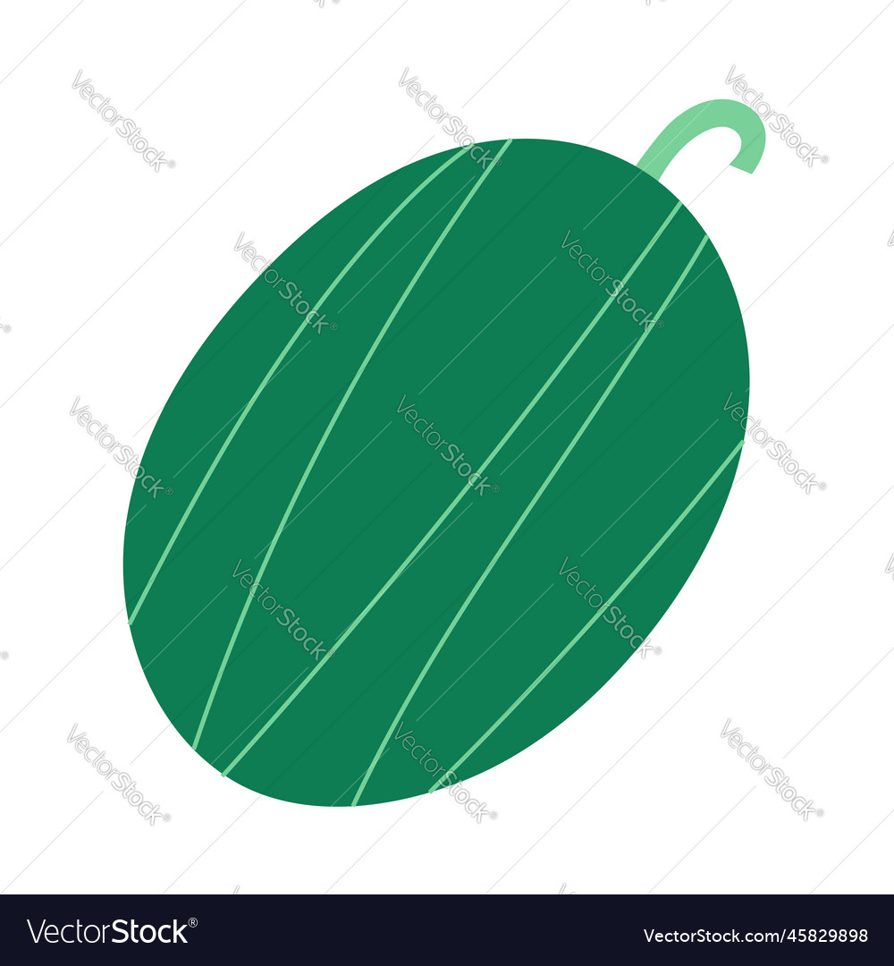 Whole watermelon fruit green with stripes