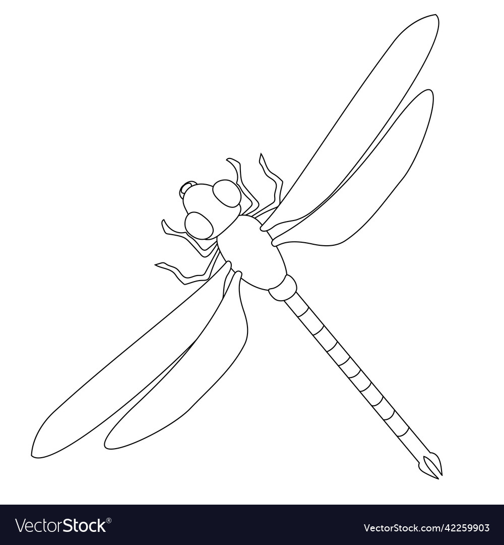 Dragonfly one line artinsect minimal drawing Vector Image