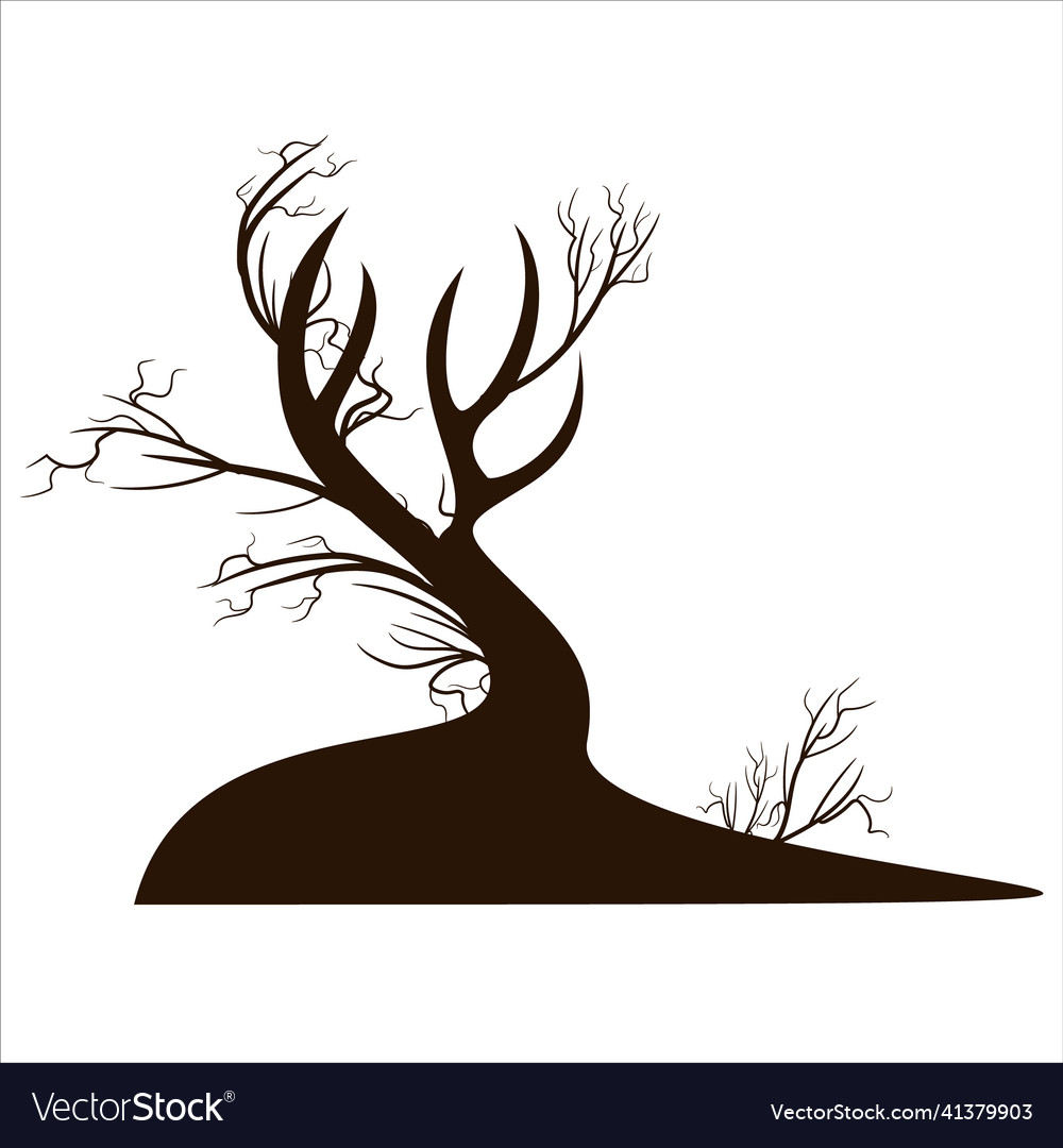 Image isolated on white background tree branch