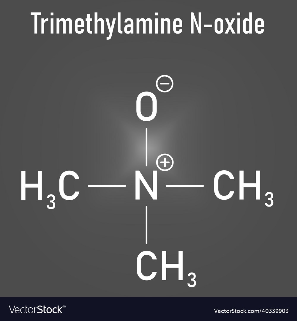 Trimethylamine n-oxide molecule skeletal formula Vector Image