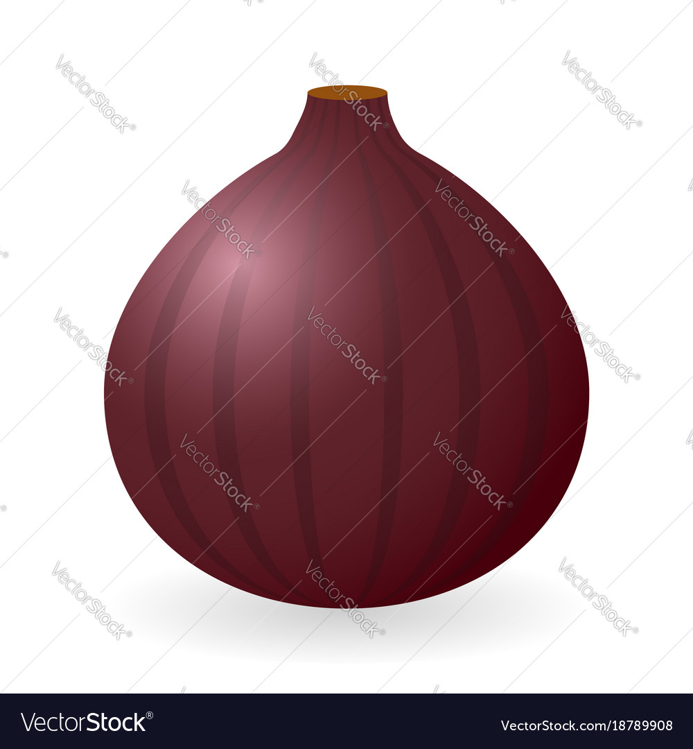 Fig isolated