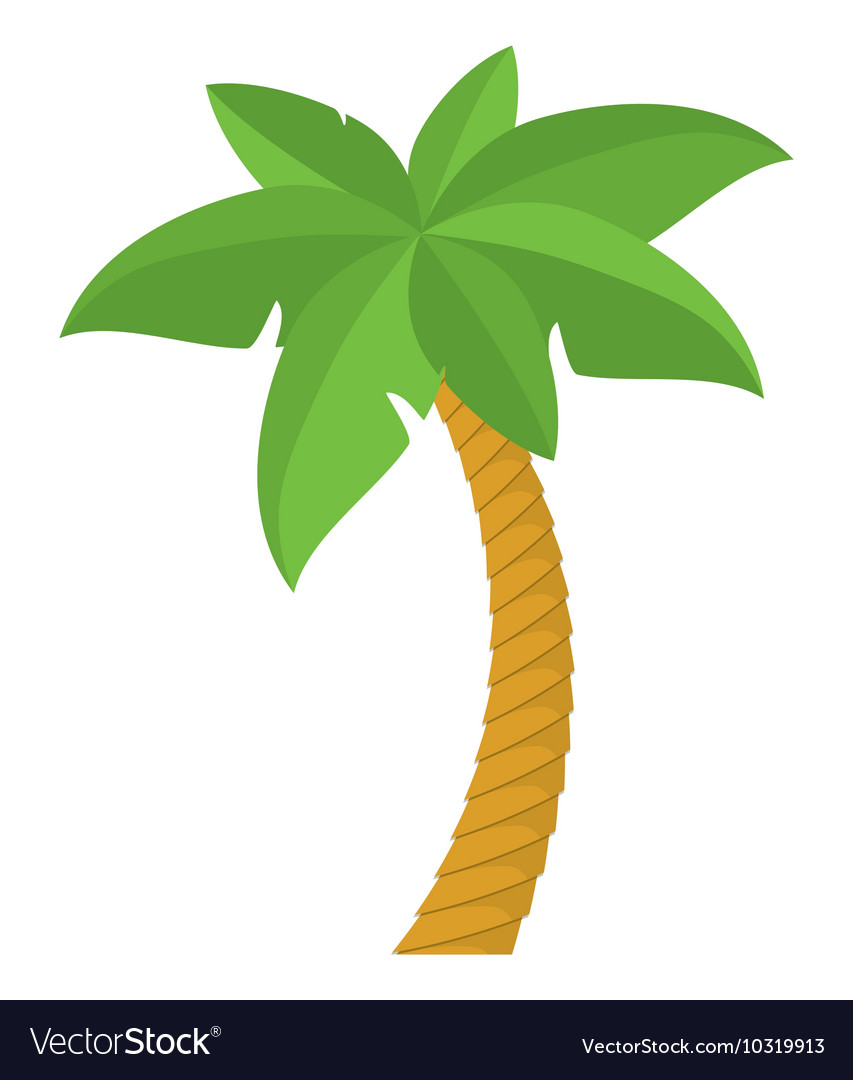 Palm tree nature plant design Royalty Free Vector Image