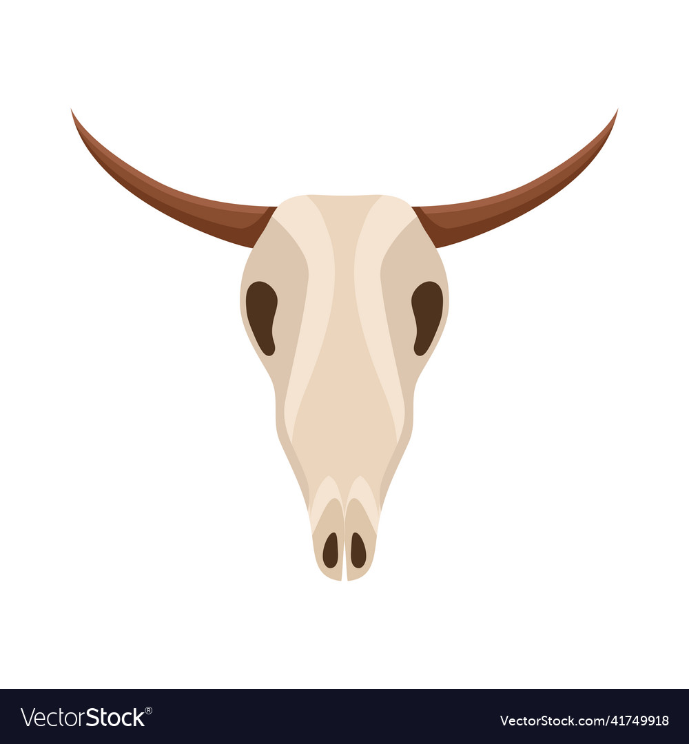 Buffalo skull design