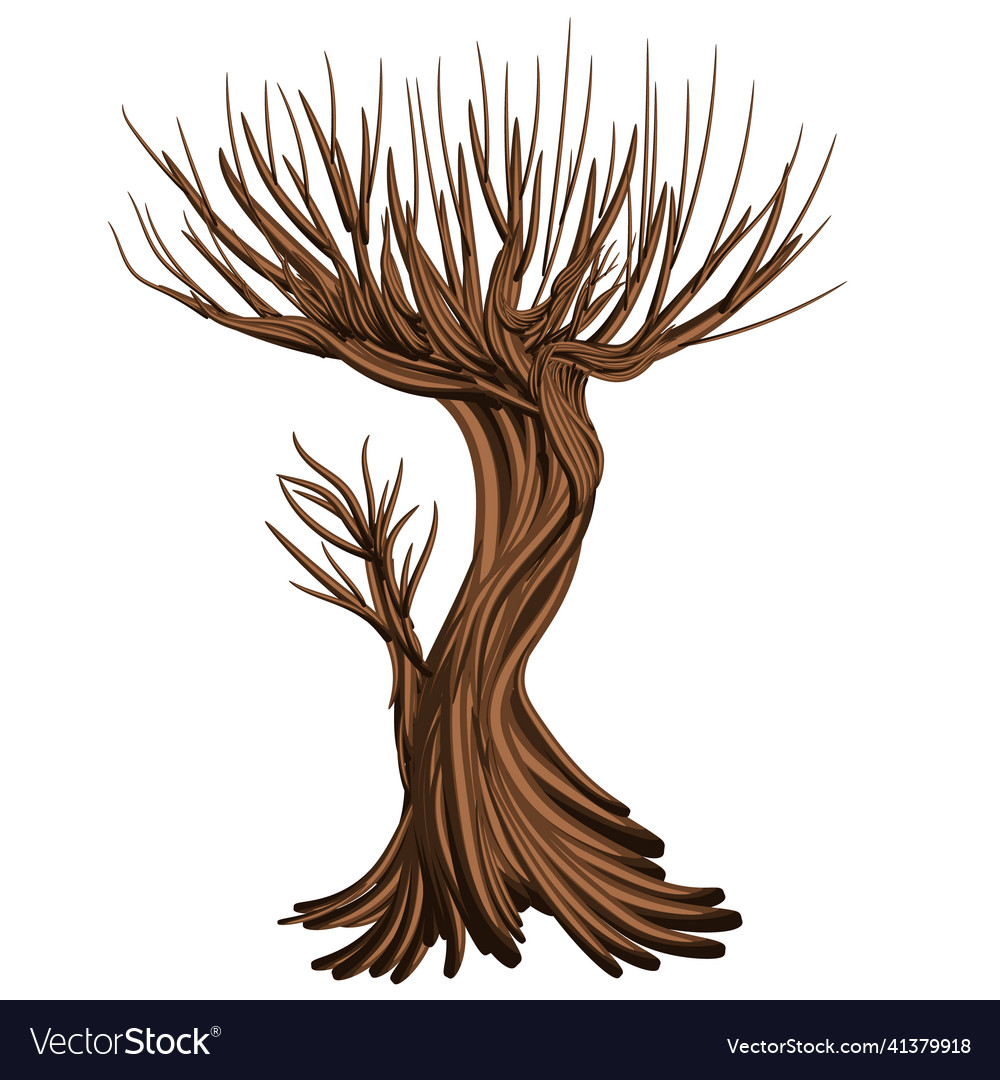 Image isolated on white background tree branch