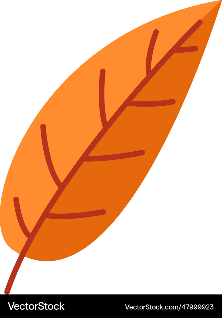 Autumn tree leaf Royalty Free Vector Image - VectorStock