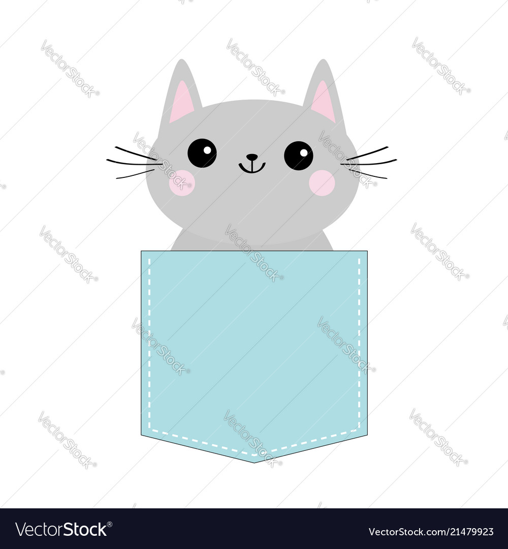 Cute Gray Kitten in Blue Pocket