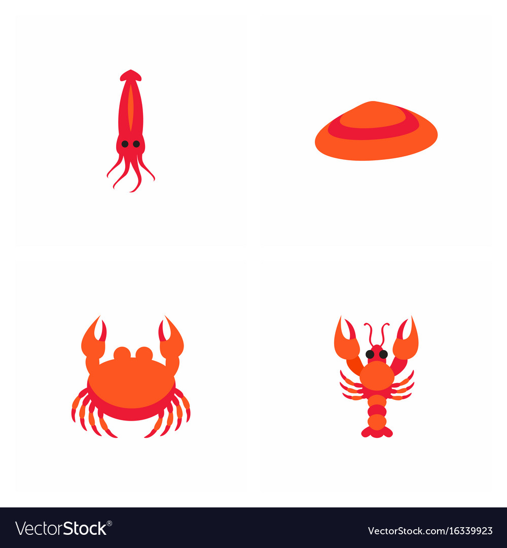 Sea life and underwater seabed animals collection