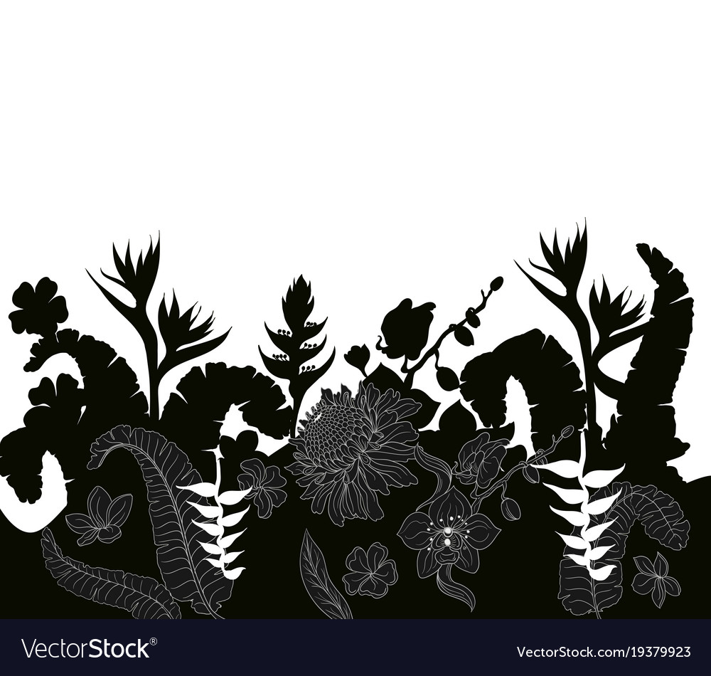 Tropical leaves and flowers silhouette