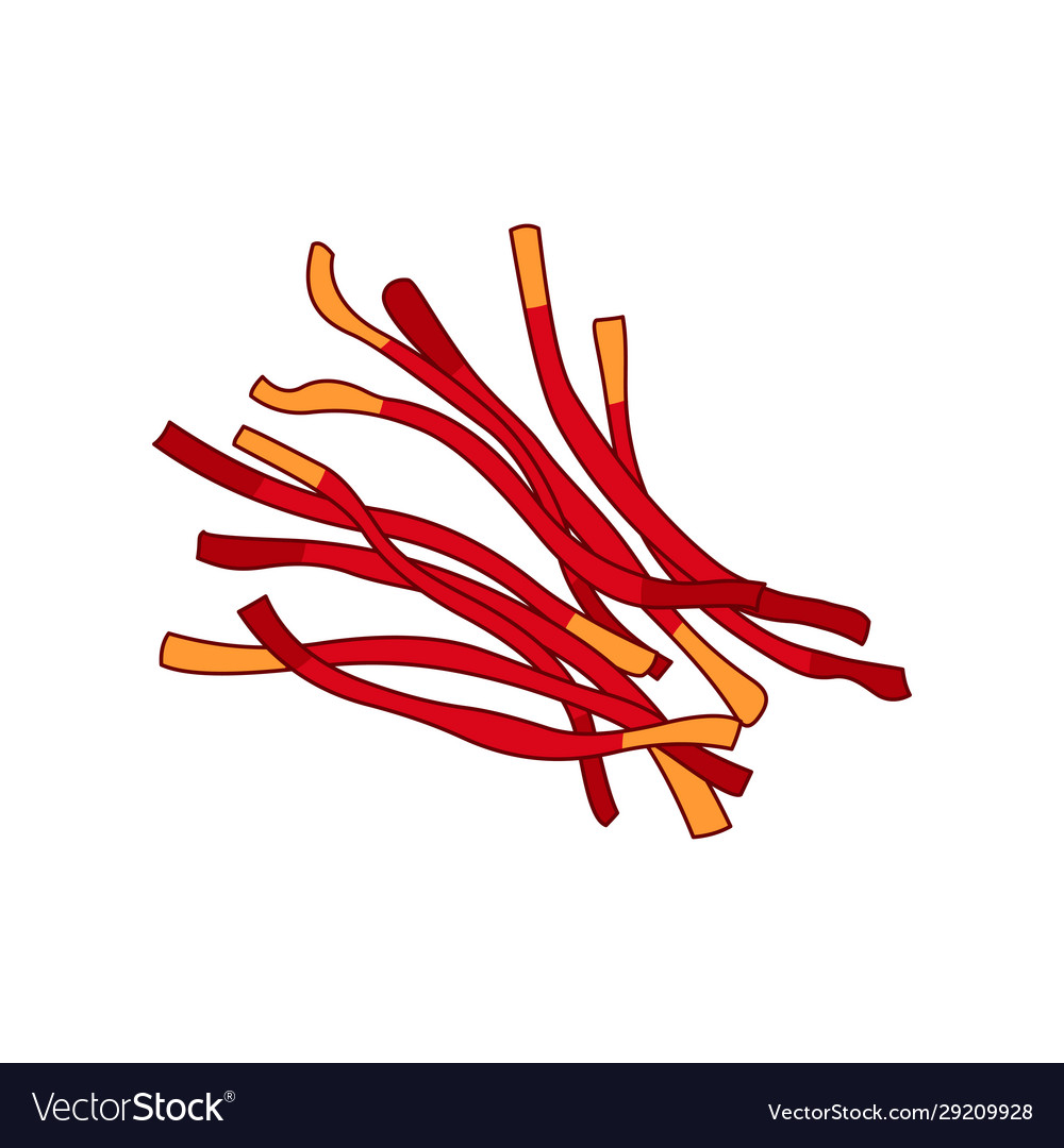 Saffron Spice Realistic Colored Botanical Vector Image Saffron Spice Realistic Colored Botanical Vector Image