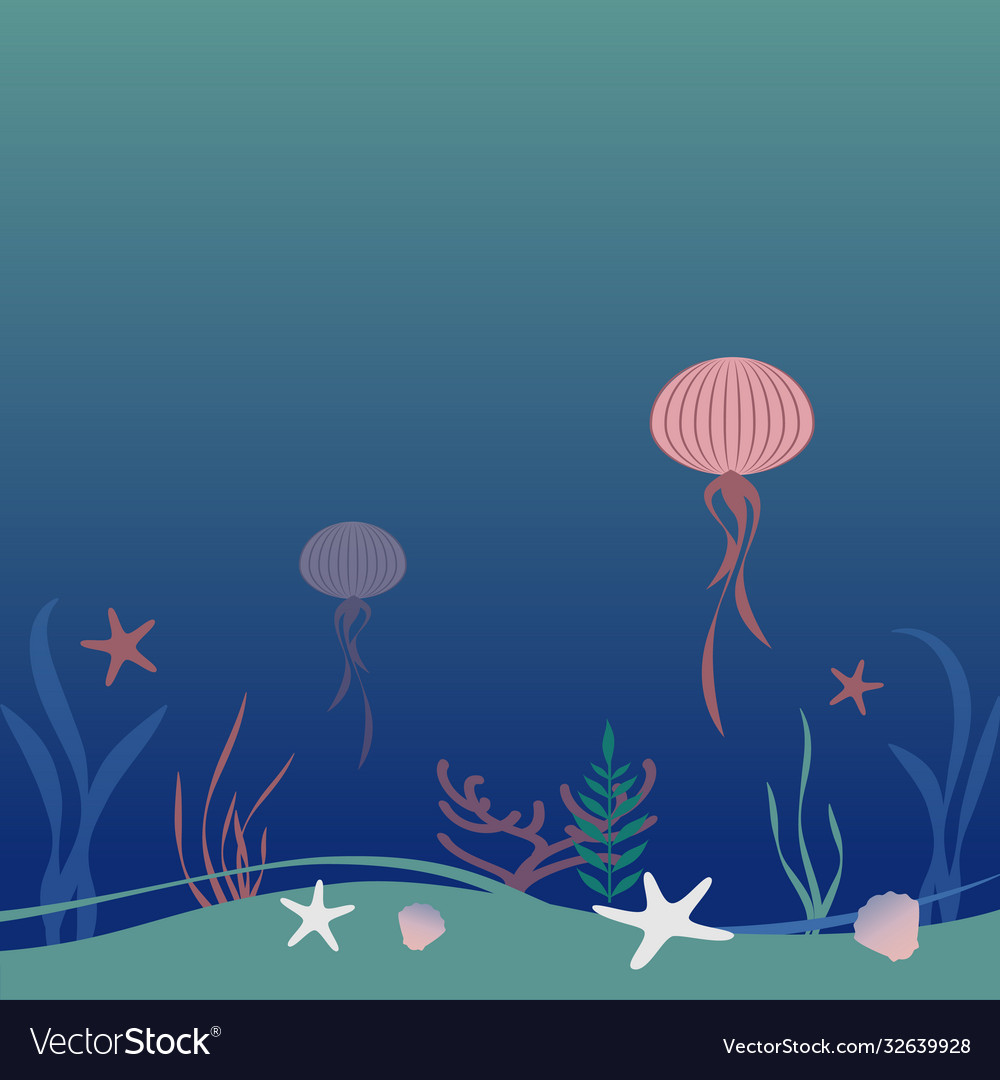 Seabed with empty space starfish jellyfish shells