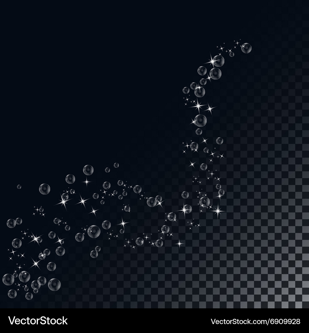 Transparent soap bubbles Royalty Free Vector Image