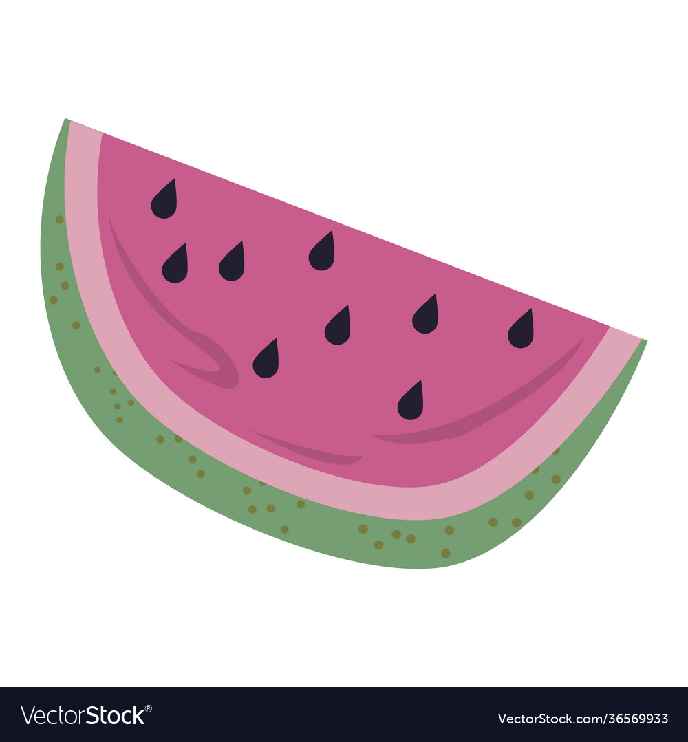 Fresh watermelon portion Royalty Free Vector Image