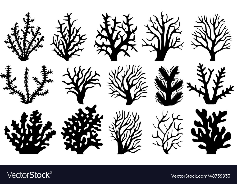 Hand drawn set of corals and seaweed silhouette Vector Image