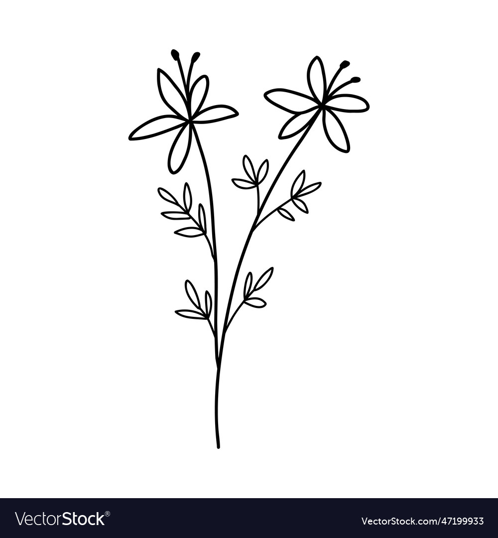 Hand drawn wildflower outline flower Royalty Free Vector