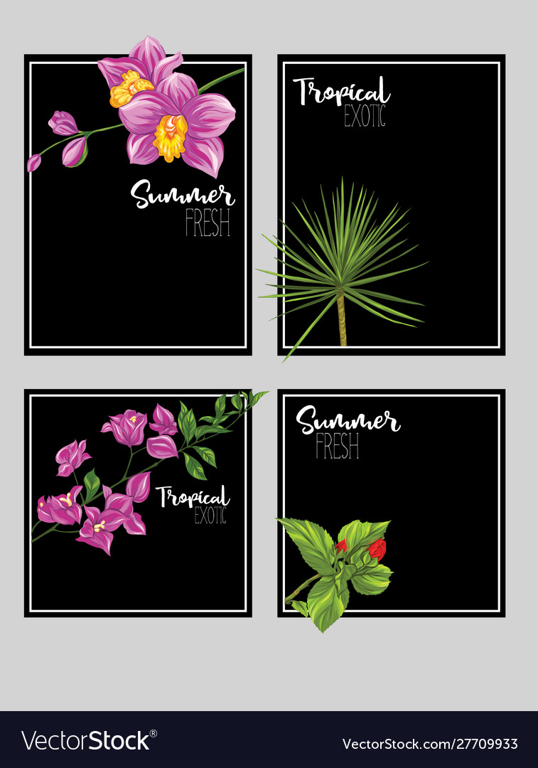 Set text boxes for bullet journal or notes