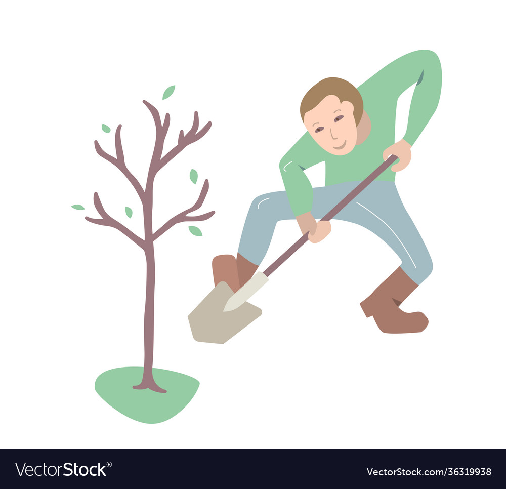 Man with shovel planting young tree person