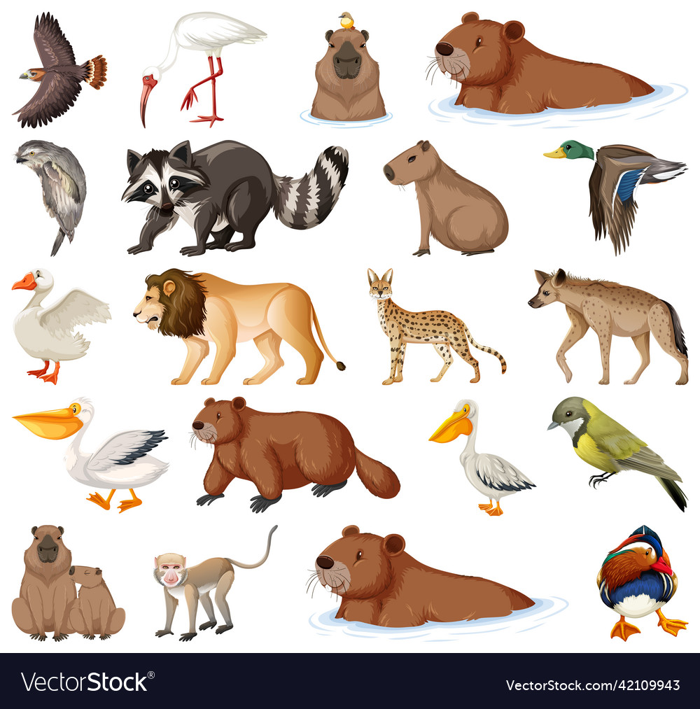 Different kinds of animals collection Royalty Free Vector