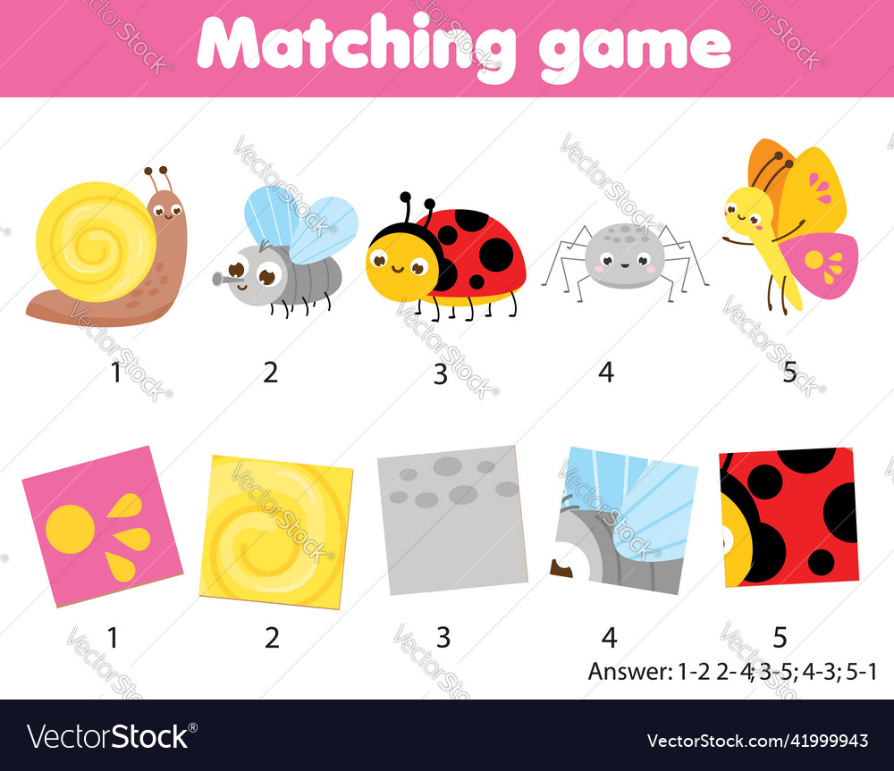 Insect Matching Game - Fun Patterns