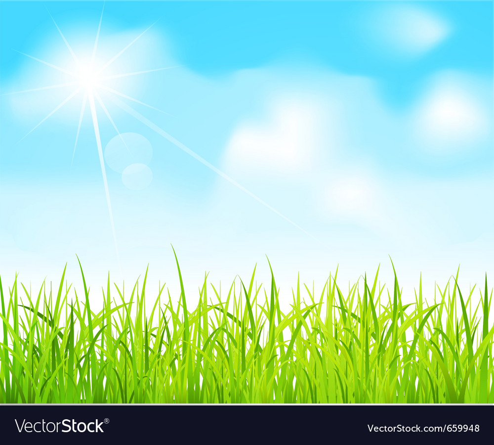 Blue sky and green grass Royalty Free Vector Image