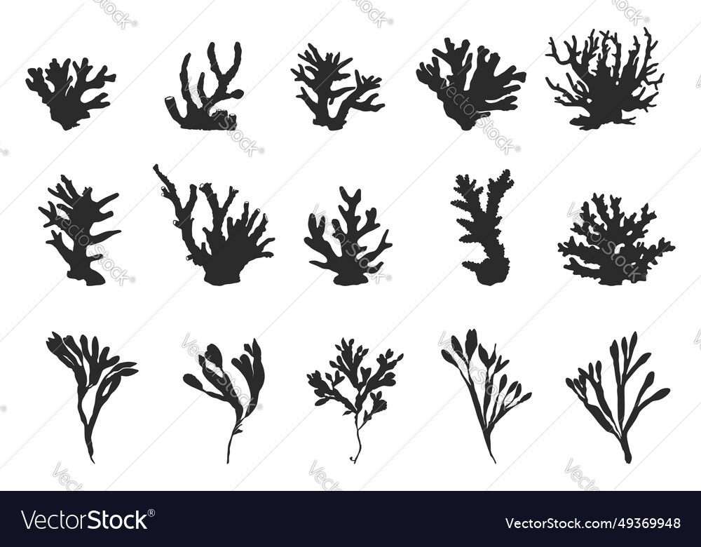 Coral silhouette sea corals seaweed Royalty Free Vector