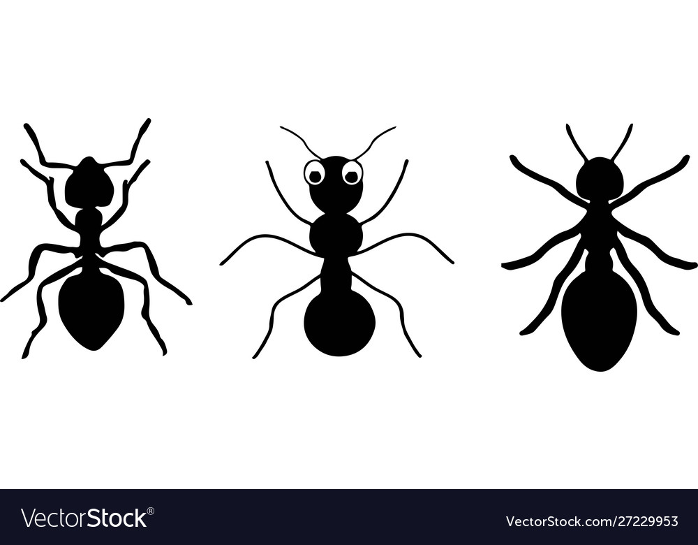 Ant icon on white background Royalty Free Vector Image