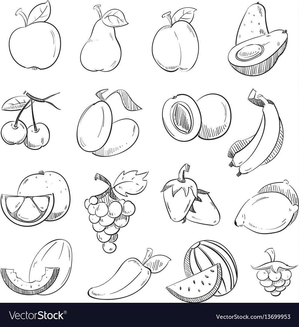 Sketch doodle hand drawn fresh and juicy fruits Vector Image