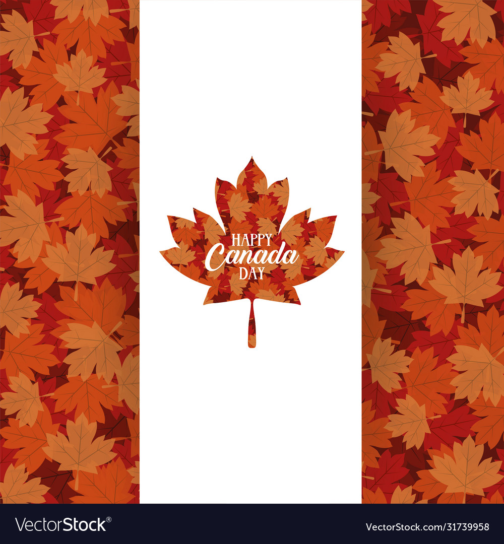 Canada day celebration card with maple leafs