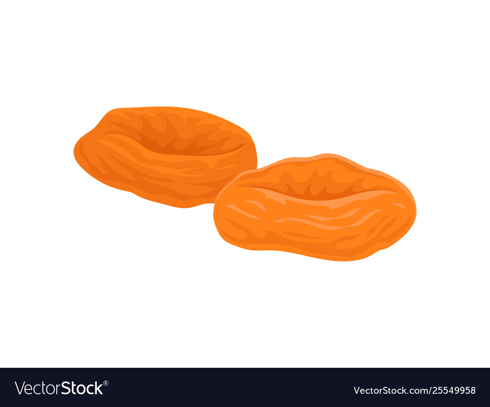 Dried Apricots On A White Background Royalty Free Vector