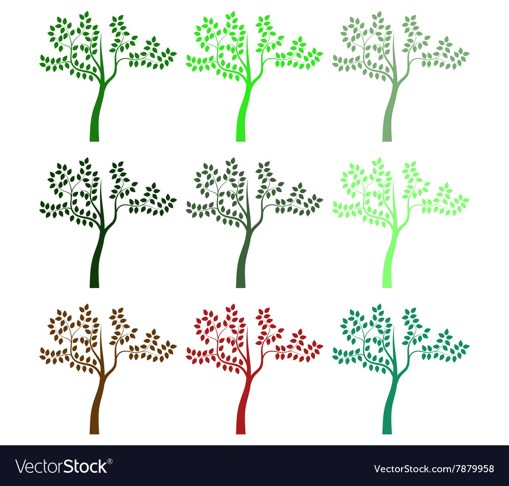 Tree on white background