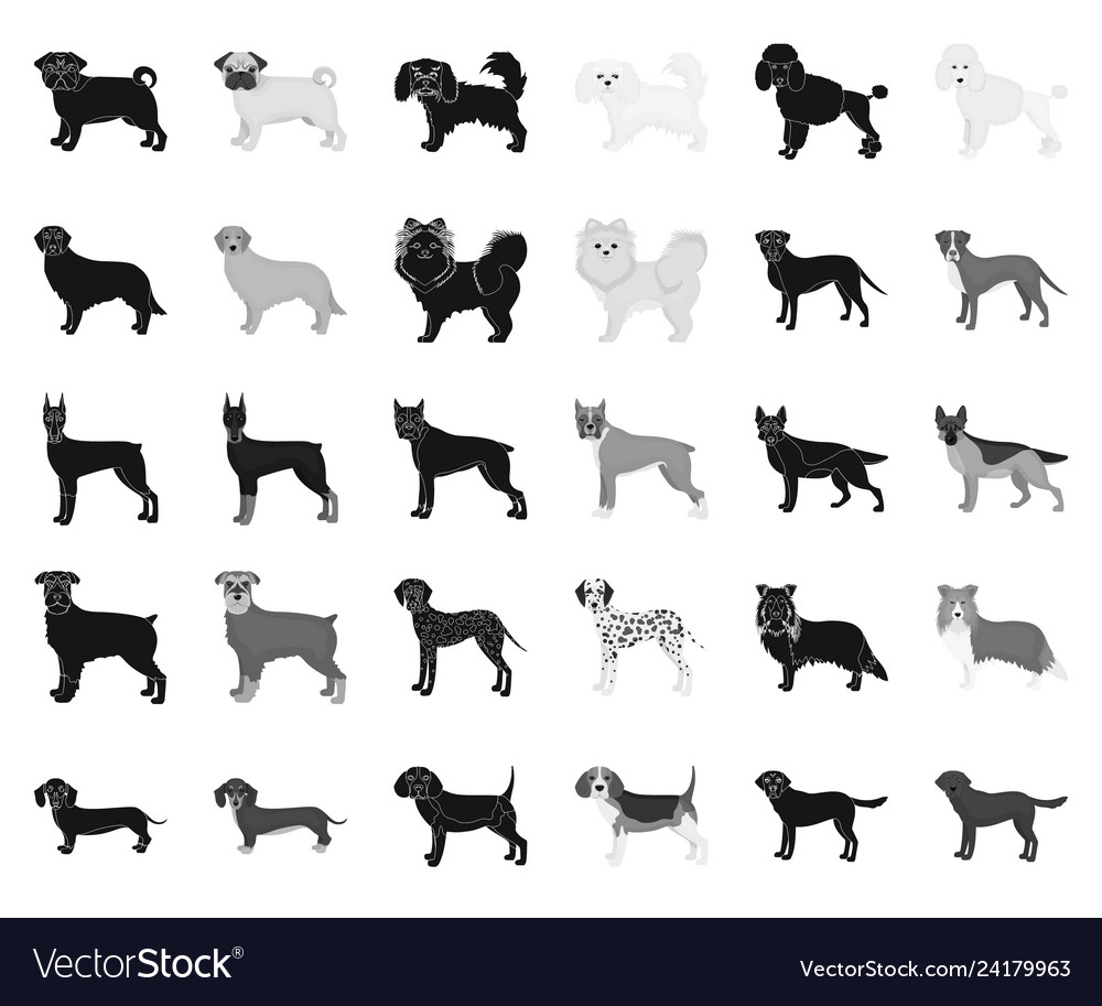 Dog breeds blackmonochrome icons in set Royalty Free Vector