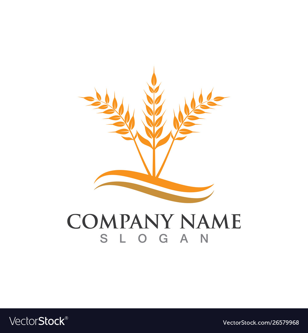 Agriculture wheat Royalty Free Vector Image - VectorStock