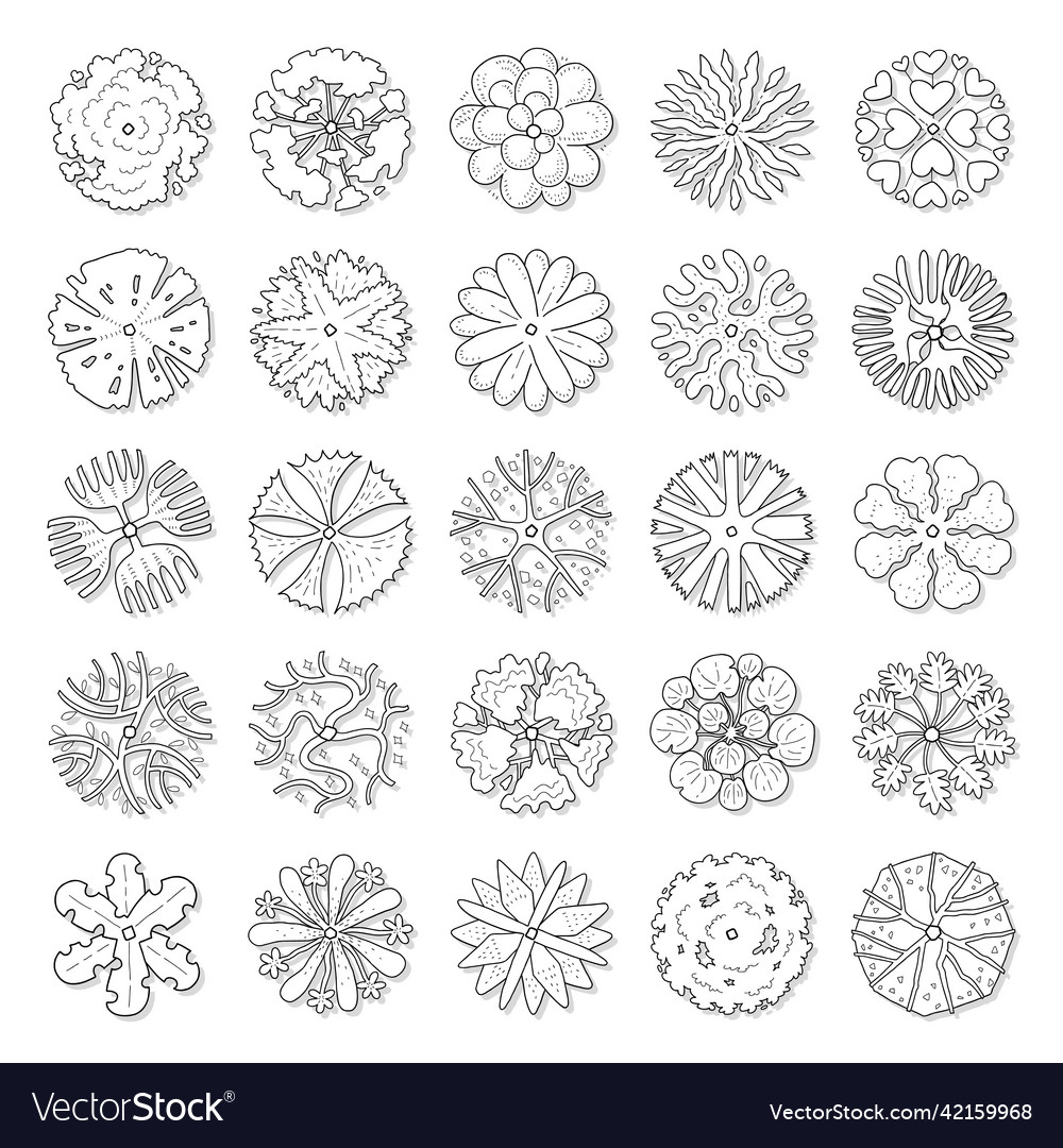 Hand drawn set of top view trees
