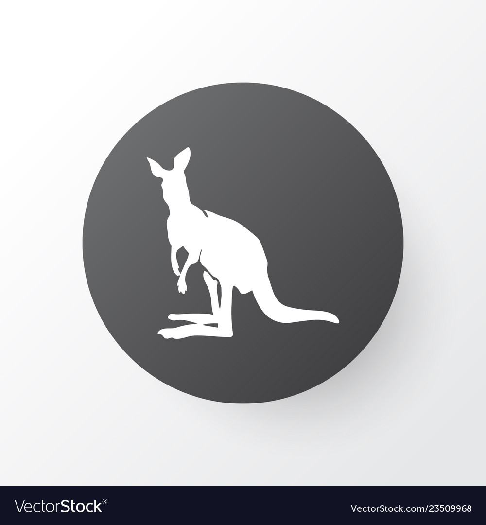 Kangaroo icon symbol premium quality isolated