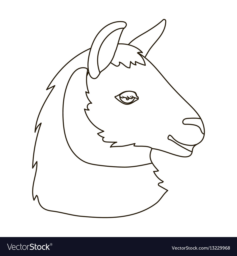 Lama icon in outline style isolated on white