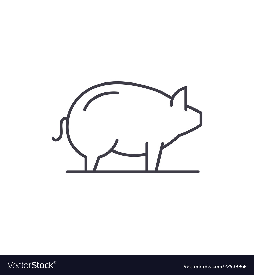 Pig line icon concept linear