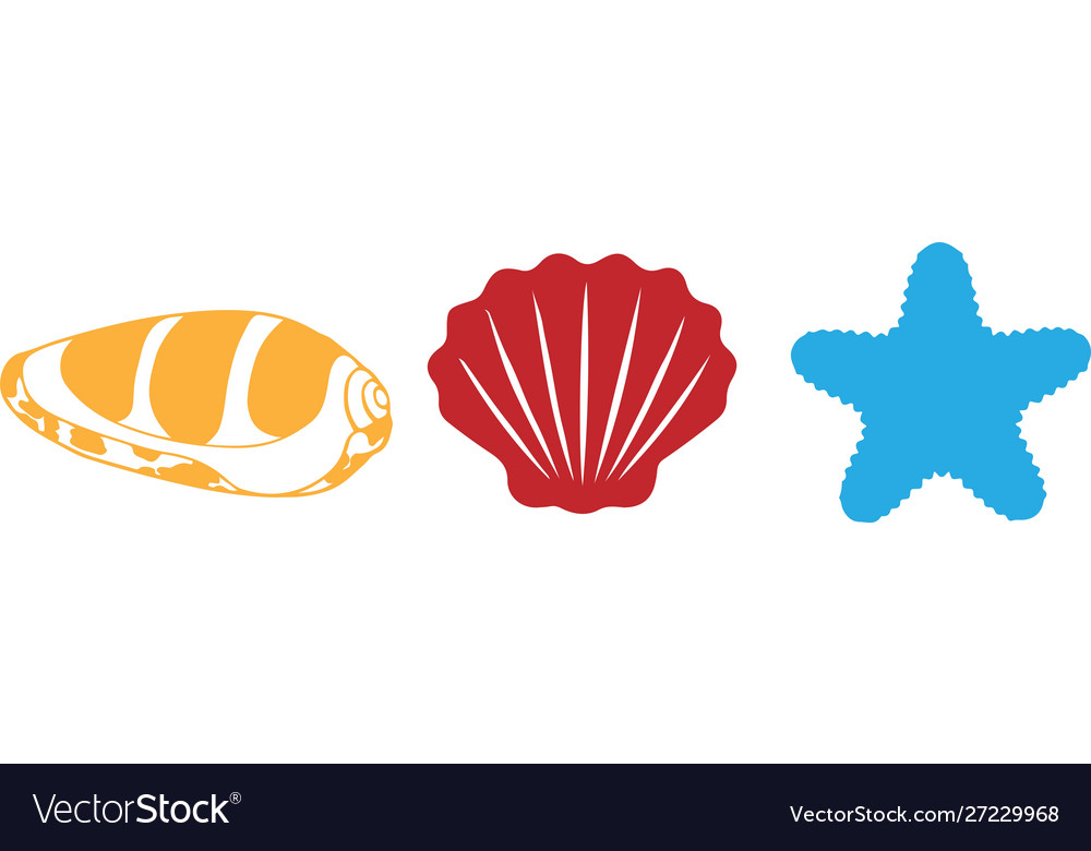 Shell icon on white background