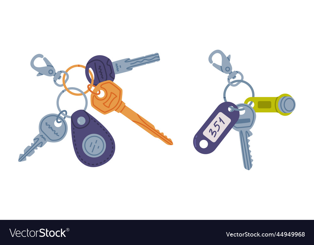 Trinket with key hanging keychain or keyring Vector Image Trinket with key hanging keychain or keyring