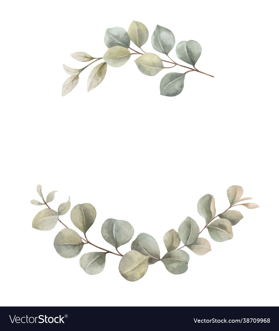 Watercolor wreath with eucalyptus branches Vector Image