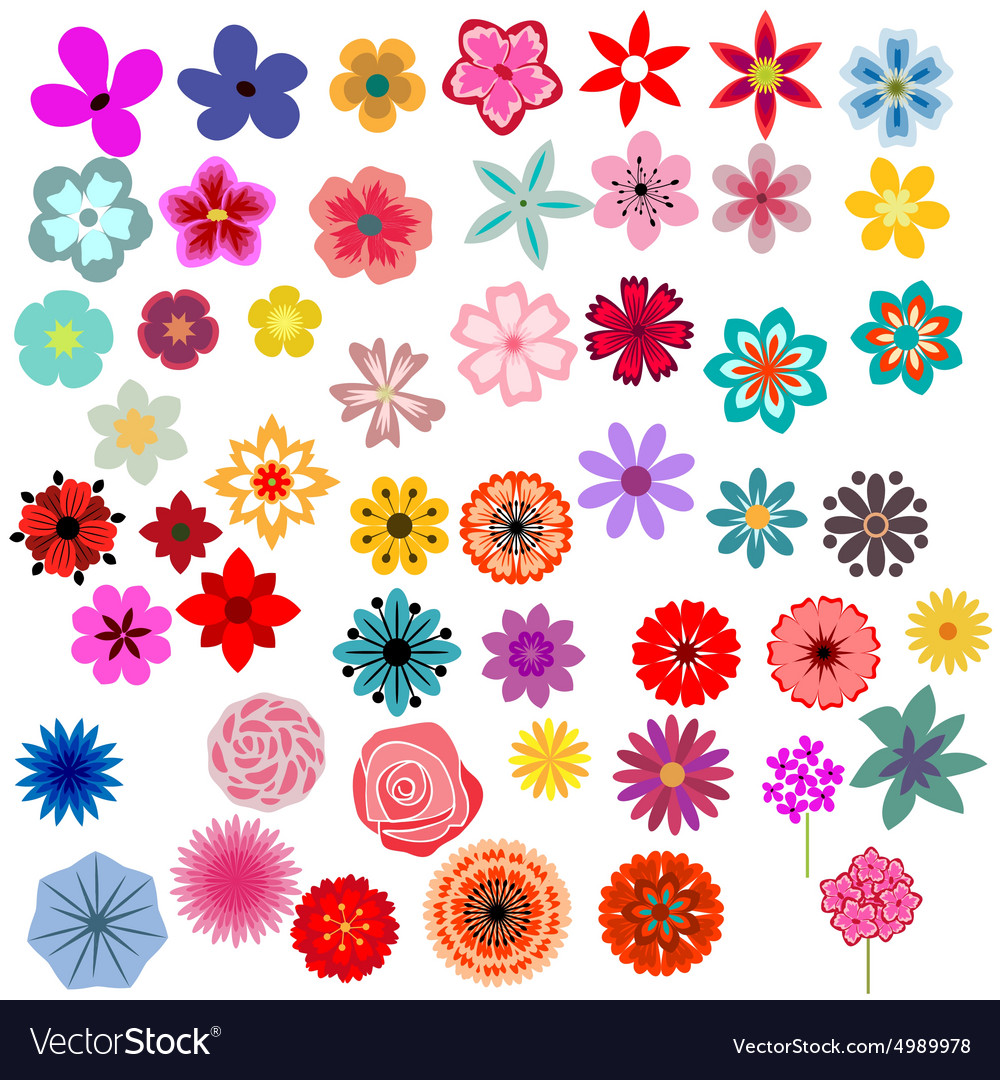 Flowers set Royalty Free Vector Image - VectorStock