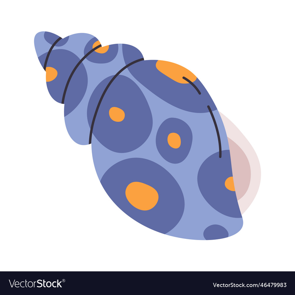 Sea shell clam