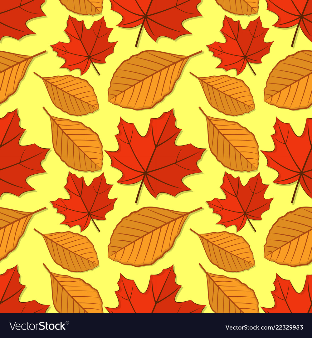 Seamless pattern with maple and beech leaves Vector Image Seamless pattern with maple and beech leaves