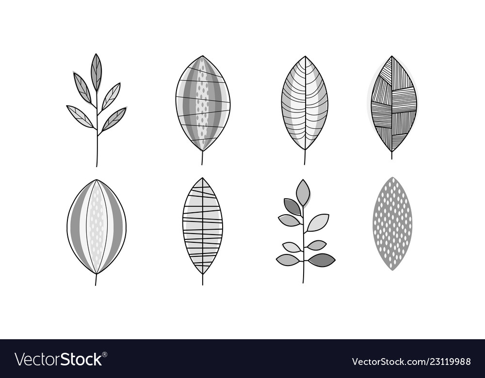 Set of monochrome hand drawn leaves