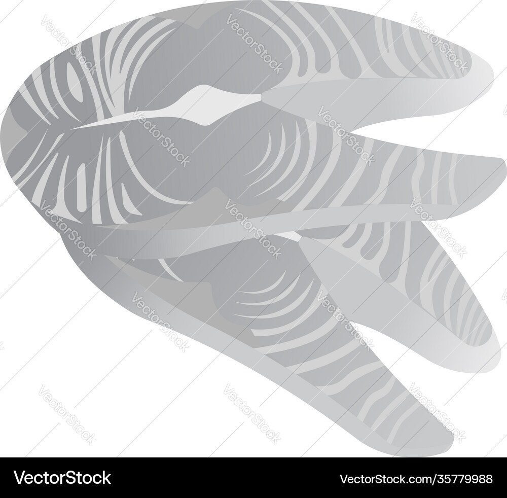 Slices red fish grayscale image food Royalty Free Vector