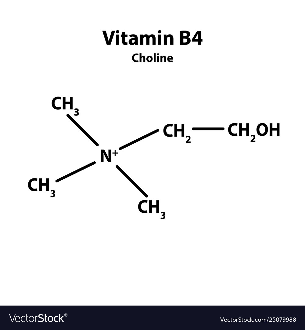 Vitamin B4 Choline Molecular Chemical Formula Vector Image