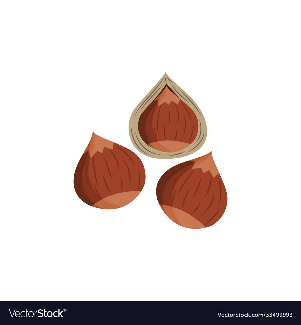 Brown hazel nuts with and without shell - isolated